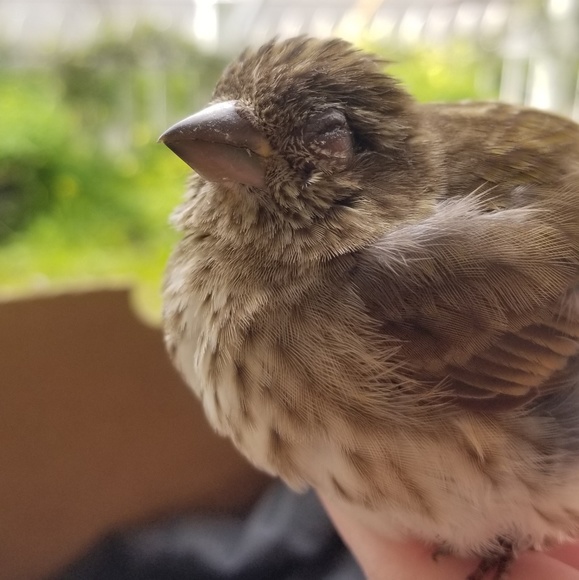 Meet your Posher, Jessica - Picture 1 of 1